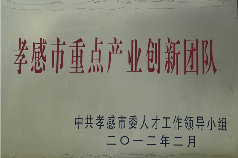 孝感市重點產業創(chuàng)新團隊獎